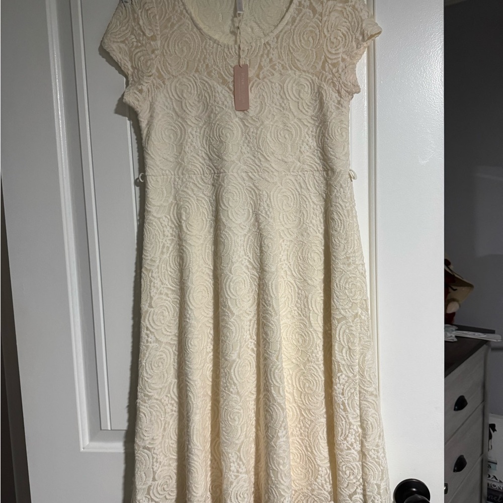 Elegant Cream Lace Dress